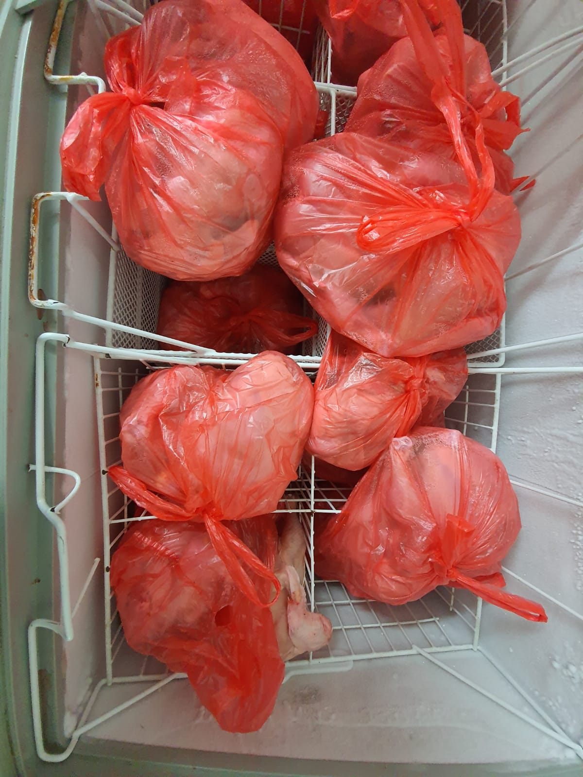 WhatsApp Image 2020-03-25 at 8.27.01 PM (3).jpeg.jpeg